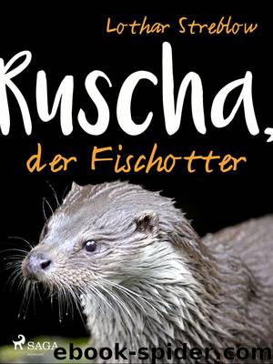 Ruscha, der Fischotter by Lothar Streblow