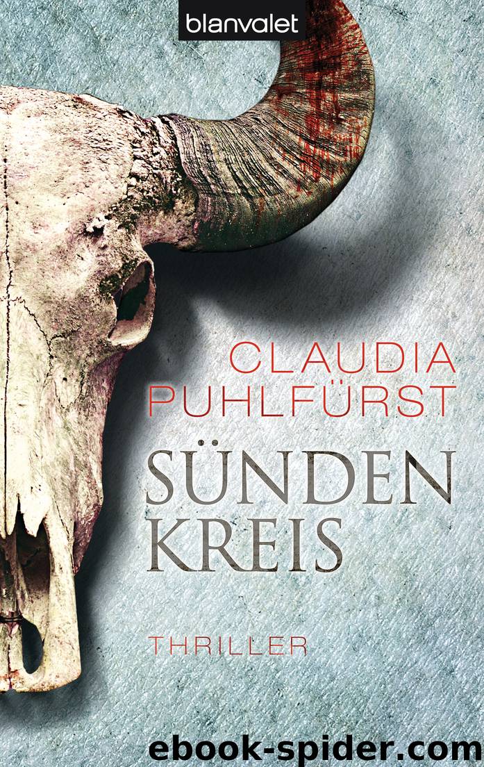 Sündenkreis: Thriller (German Edition) by Puhlfürst Claudia