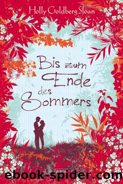 Sam & Emily (2) – Bis zum Ende des Sommers by Goldberg Sloan Holly