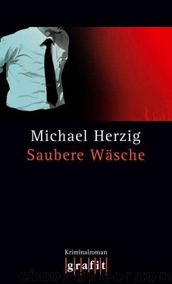 Saubere Wäsche by Michael Herzig