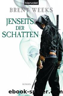 Schatten Trilogie Bd. 3 - Jenseits der Schatten by Brent Weeks