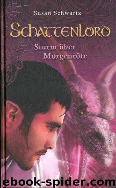 Schattenlord 5 - Sturm über Morgenröte by Susan Schwartz