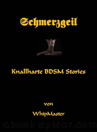 Schmerzgeil: Knallharte BDSM Stories (German Edition) by Whip Master