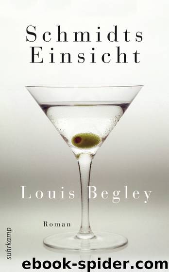 Schmidts Einsicht by Begley Louis