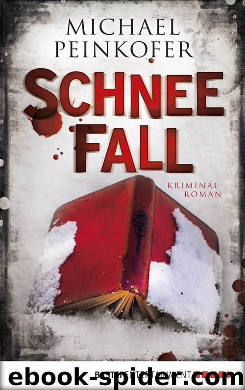 Schneefall by Michael Peinkofer