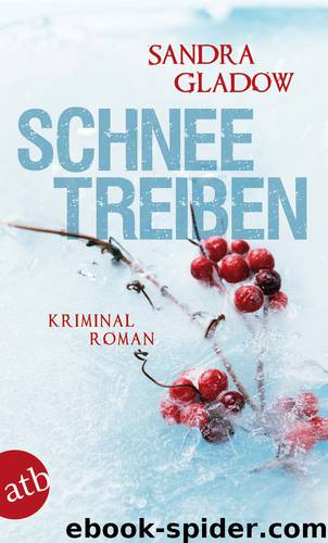 Schneetreiben by Sandra Gladow