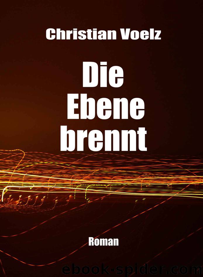 Schwarz-Rot-Gold Trilogie 03 - Die Ebene brennt by Christian Voelz