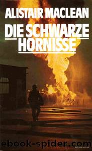 Schwarze Hornisse by MacLean Alistair