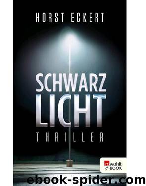 Schwarzlicht (German Edition) by Eckert Horst