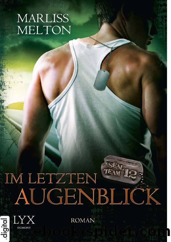 Seal Team 12 (06) â Im letzten Augenblick by Melton Marliss