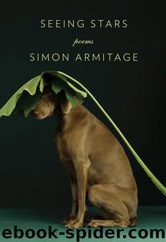 Seeing Stars by Simon Armitage