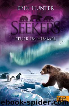 Seekers - Feuer im Himmel - Band 5 by Erin Hunter