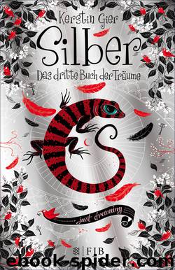 Silber. Das dritte Buch der Träume by Kerstin Gier