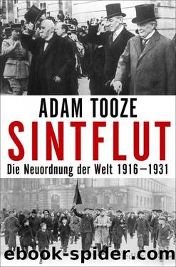 Sintflut by Tooze Adam