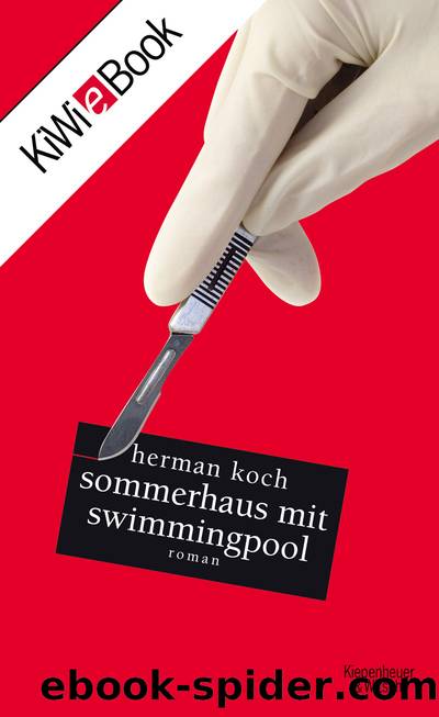 Sommerhaus mit Swimmingpool by Koch Herman