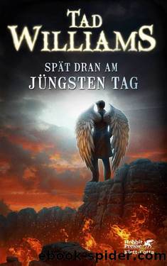 Spät dran am Jüngsten Tag by Williams Tad; Holfelder-von der Tann Cornelia