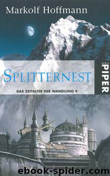 Splitternest by Markolf Hoffmann