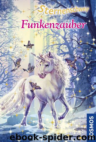 Sternenschweif 30 - Funkenzauber by Linda Chapman