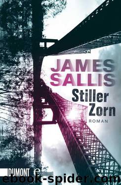 Stiller Zorn: Roman (German Edition) by Sallis James