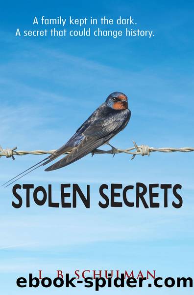 Stolen Secrets by L.B. Schulman