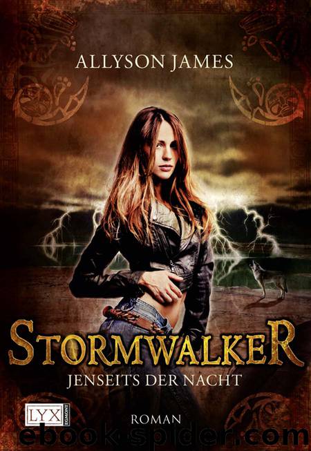 Stormwalker - James, A: Stormwalker - Stormwalker by James Allyson