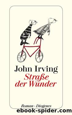 Straße der Wunder by John Irving