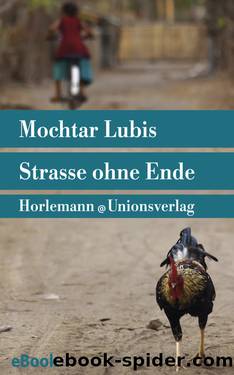 Straße ohne Ende by Mochtar Lubis