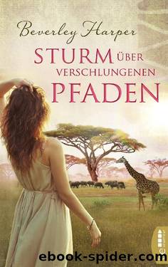 Sturm über verschlungenen Pfaden by Beverley Harper