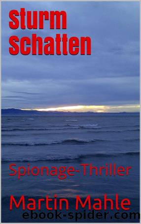 Sturm Schatten: Spionage-Thriller (German Edition) by Martin Mahle