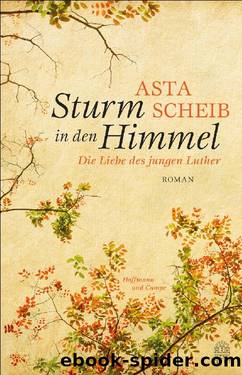 Sturm in den Himmel by Scheib Asta