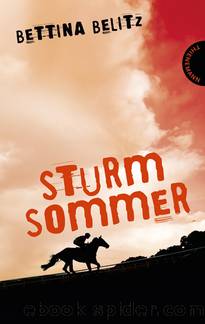 Sturmsommer by Bettina Belitz