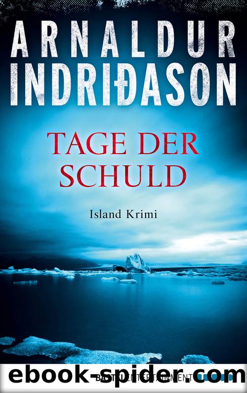 Tage der Schuld by Arnaldur Indriðason