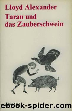 Taran Und Das Zauberschwein by Alexander Lloyd