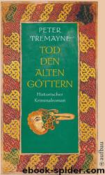 Tod den alten Göttern by Peter Tremayne