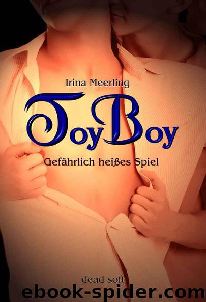 Toyboy - Gefährlich heißes Spiel by Meerling Irina