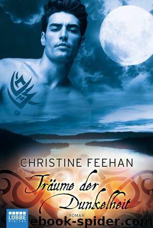 Träume der Dunkelheit: Erzählungen (German Edition) by Feehan Christine