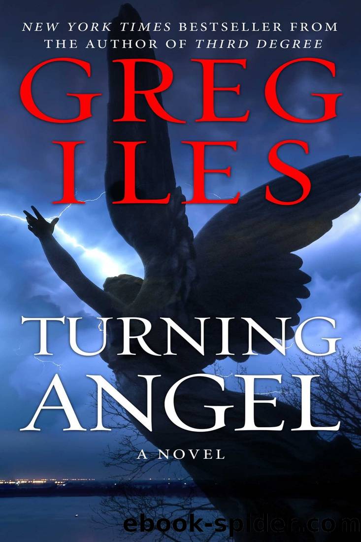 Turning Angel by Greg Iles