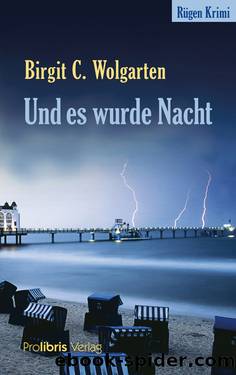 Und es wurde Nacht by Birgit C. Wolgarten