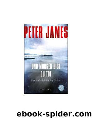 Und morgen bist Du tot by Peter James