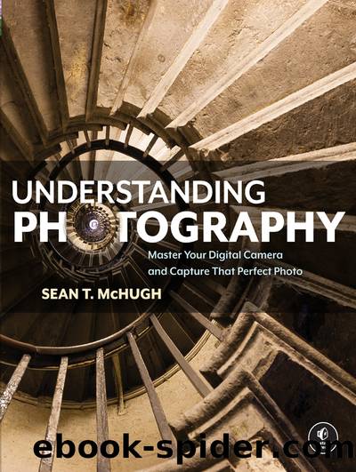 Understanding Photography by Sean T. McHugh