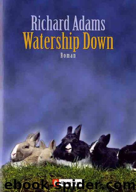 Unten Am Fluss - Watership Down by Richard Adams