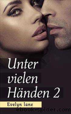 Unter vielen Händen 2: Erotische Geschichten über Verführung, Erotik, Lust, Liebe, Leidenschaft und Sex Fantasien (German Edition) by Lane Evelyn