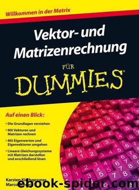 Vektor- und Matrizenrechnung für Dummies by Karsten Kirchgessner Marco Schreck