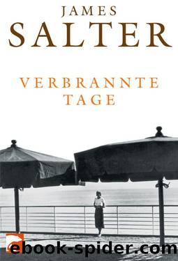 Verbrannte Tage by James Salter