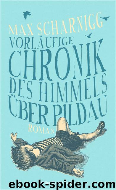 Vorläufige Chronik des Himmels über Pildau. Roman by Max Scharnigg