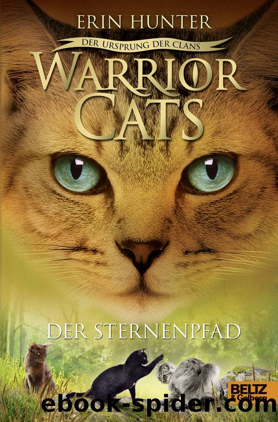 Warrior Cats 5-6 - Der Sternenpfad by Hunter Erin