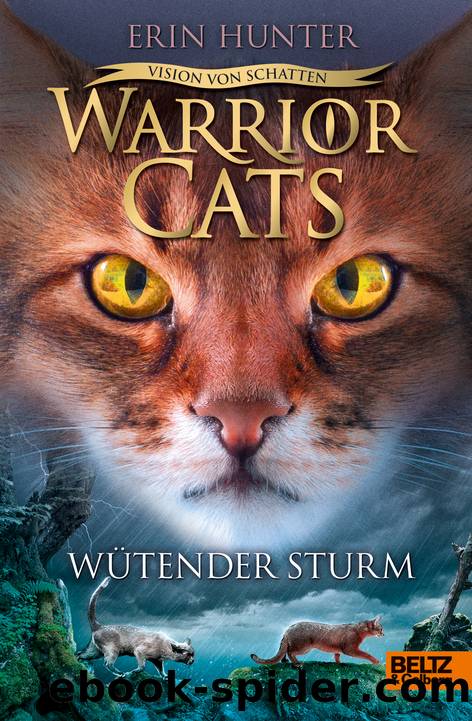 Warrior Cats 6-6 - WÃ¼tender Sturm by Hunter Erin