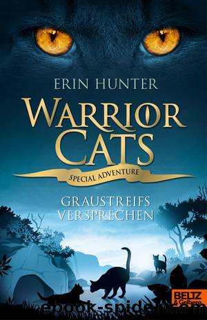 Warrior Cats Special 13 - Graustreifs Versprechen by Hunter Erin