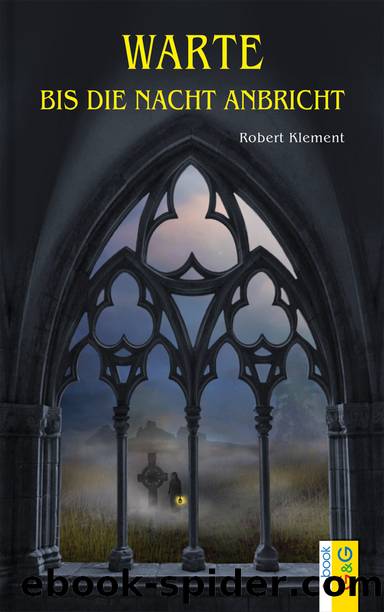 Warte bis die Nacht anbricht by Robert Klement