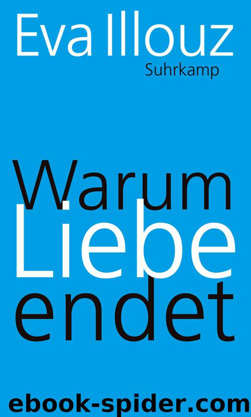 Warum Liebe endet by Eva Illouz